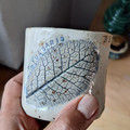 20240514_074505.jpg