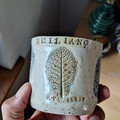 20240514_074507.jpg