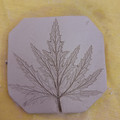 leaf_1.jpg