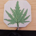 leaf_2.jpg