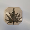 leaf_3.jpg